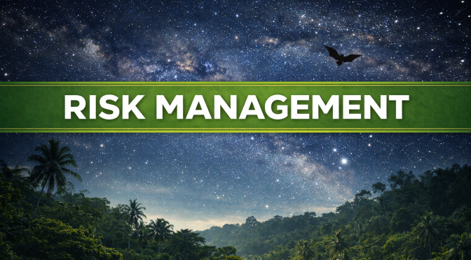 Risk management: the frog and the bat